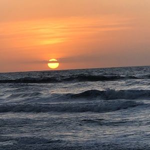 Meet your Posher, Sherri